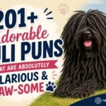 Adorable Puli Puns