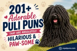Adorable Puli Puns