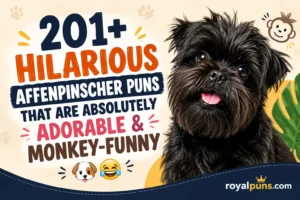 Hilarious Affenpinscher Puns
