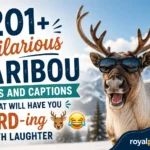 Hilarious Caribou Puns and Captions