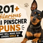 Mini Pinscher Puns