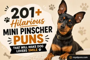 Mini Pinscher Puns