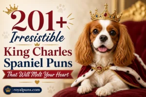 Irresistible King Charles Spaniel Puns That Will Melt Your Heart
