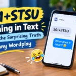 STSU Meaning in Text Discover the Surprising Truth 2026