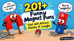 Funny Magnet Puns
